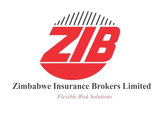 Zimbabwe Insurance Brokers System